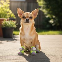 Adventure-Ready Dog Boots™