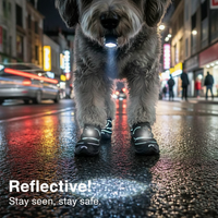 Adventure-Ready Dog Boots™